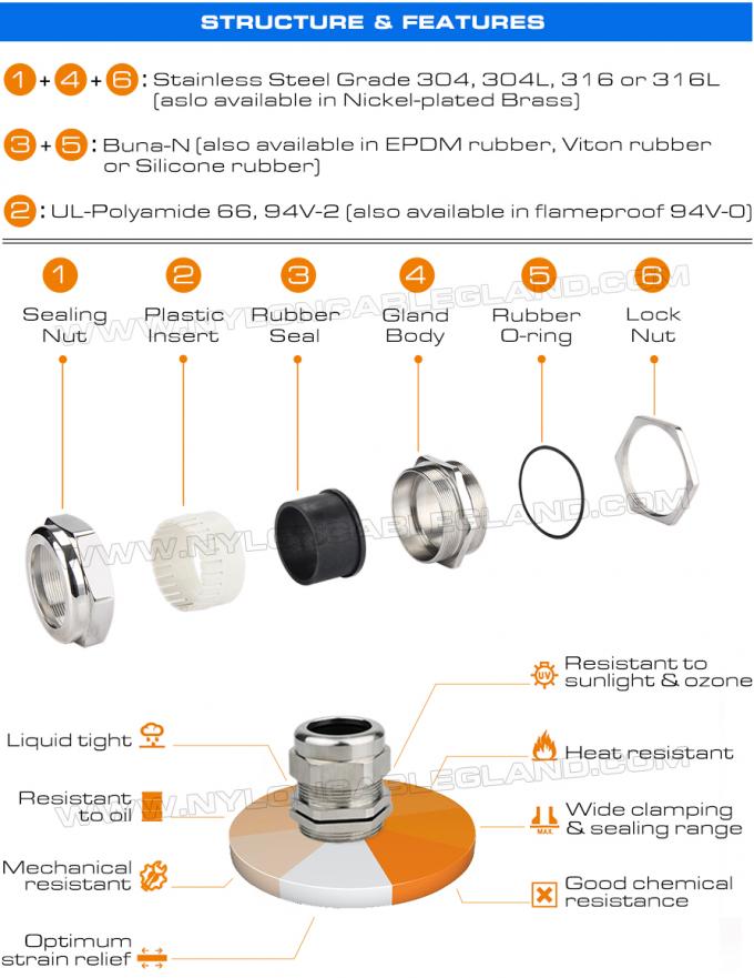 PG Thread Stainless Steel Cable Glands AISI 304/316/316L with Fluorine Rubber Sealings PG Thread Stainless Steel Cable Glands AISI 304/316/316L with Fluorine Rubber Sealings