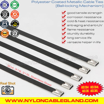 China Premium Polyester (Epoxy) Coated Stainless Steel Cable Ties SS304/SS316/SS316L with Ball Lock Mechanism supplier