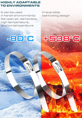 Premium 316L/316/304 Stainless Steel Cable Ties 300~1000mm Length x 10mm Width (480 lbs) for Indoor or Outdoor
