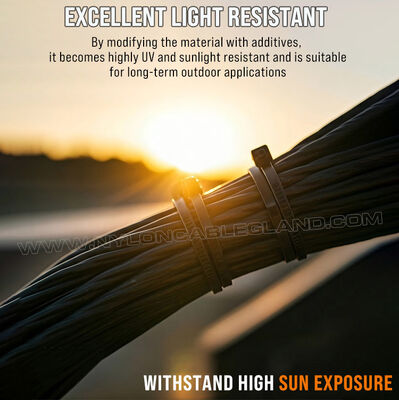 Nylon (PA) 12 UV-Resistant Cable Zip Tie 300mm x 4.8 (Ø 3-80mm), Excellent Salt & Chemical Resistance, for Solar Photovoltaic Industry