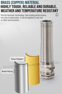 Spiral Nickel-Plated Brass Cable Gland with Strain Relief, PG13.5 (Ø: 6-12 mm), IP68, DIN 40430/EN 62444, for Cable Bend Protection