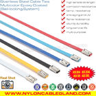 Epoxy Coated Metal Cable Ties, 316L, 316, 304 Polyester Coated Stainless Steel Ball-locking Cable Zip Ties for Outdoor