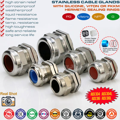 304, 316, 316L Stainless Steel PG Cable Glands IP68 Watertight Metal Compression Glands with Fluoroelastomer Seals